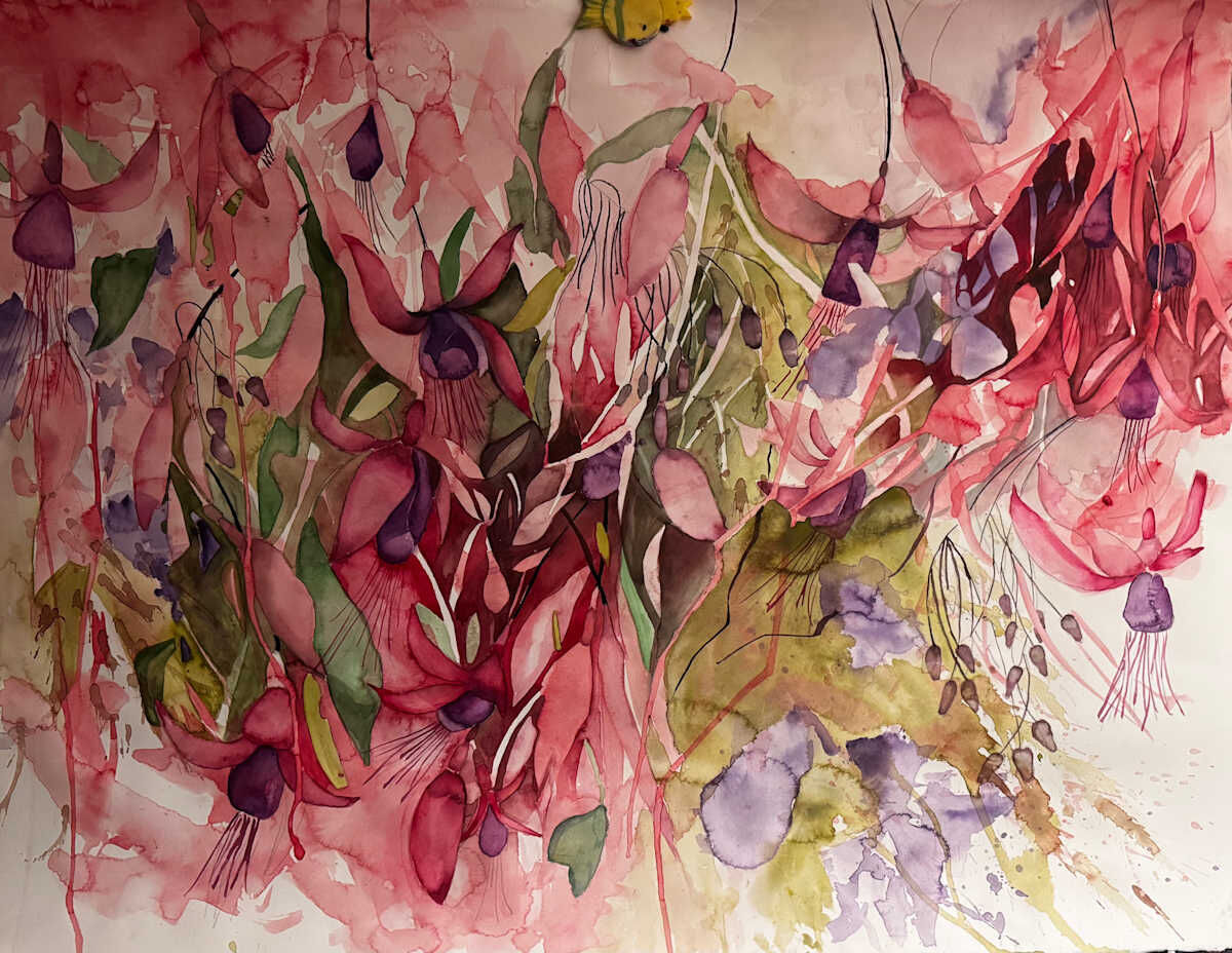 Chilco Fuchsia Flowers, acuarela de Moni Moka