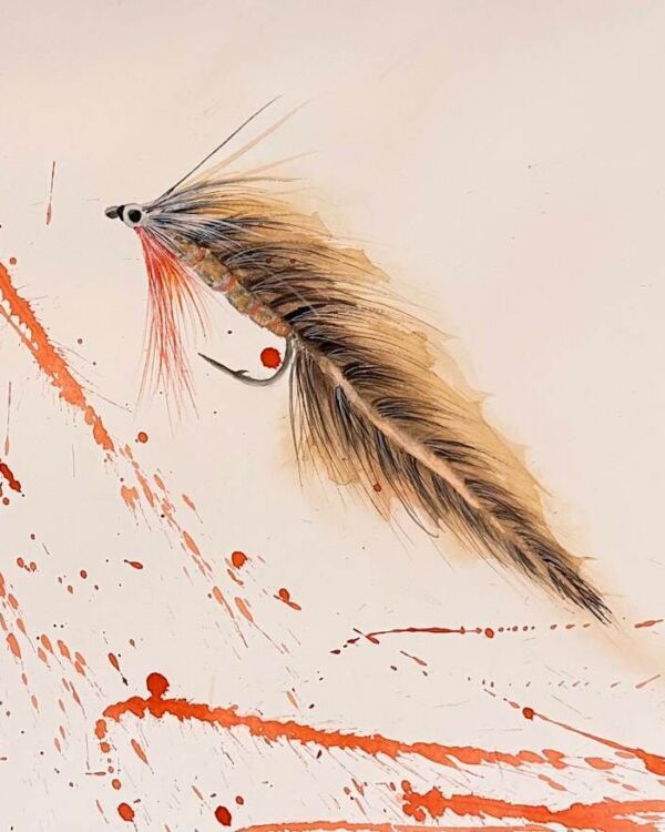 Controlled Chaos in Feather and Steel Watercolor Fly, acuarela de Moni Moka