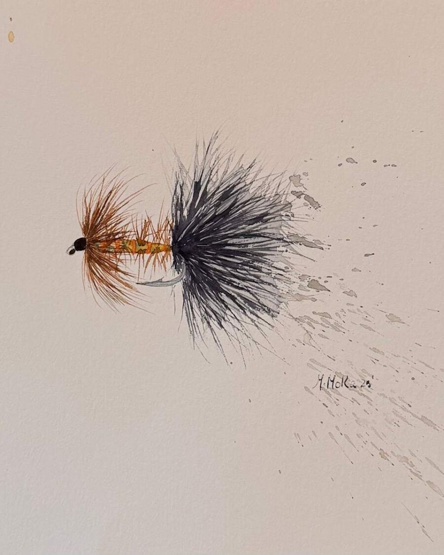 Drift Theory Watercolor Fly, acuarela de Moni Moka