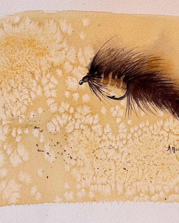 Feather in Still Water Watercolor Fly, acuarela de Moni Moka