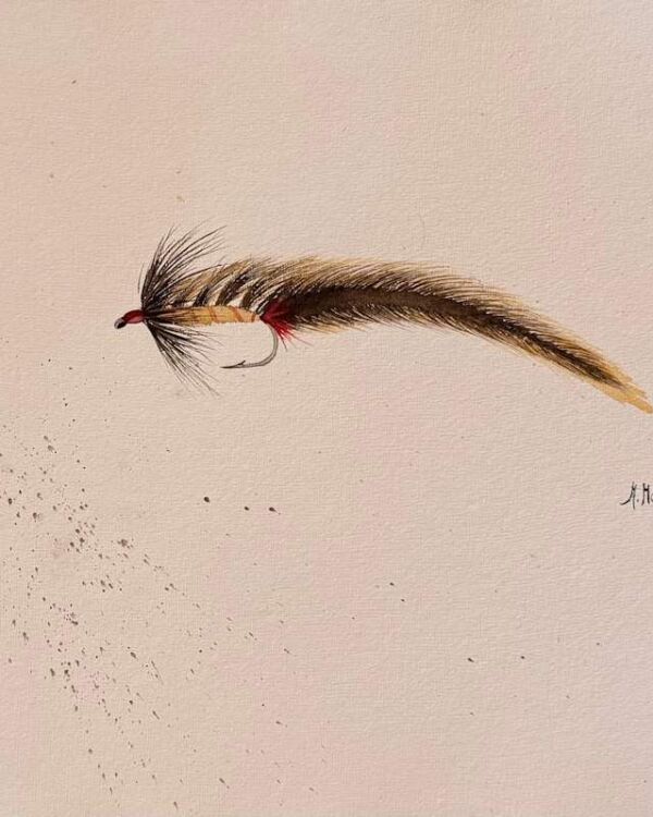 Longtail Fly Watercolor, acuarela de Moni Moka