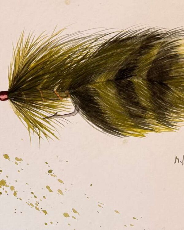 Olive Orange and Black Fly Watercolor, acuarela de Moni Moka