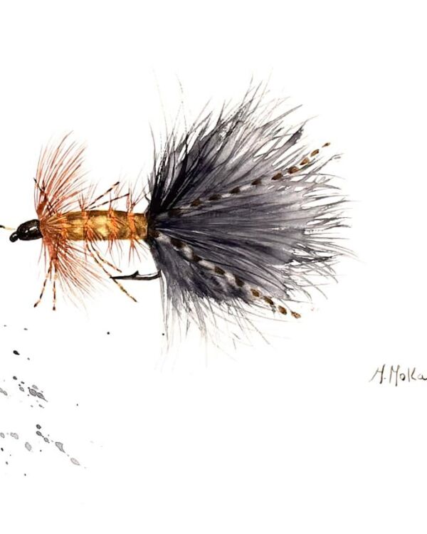 Orange and Black Fly Watercolor, acuarela de Moni Moka