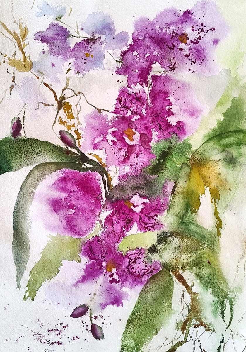 Orchid, acuarela de Moni Moka