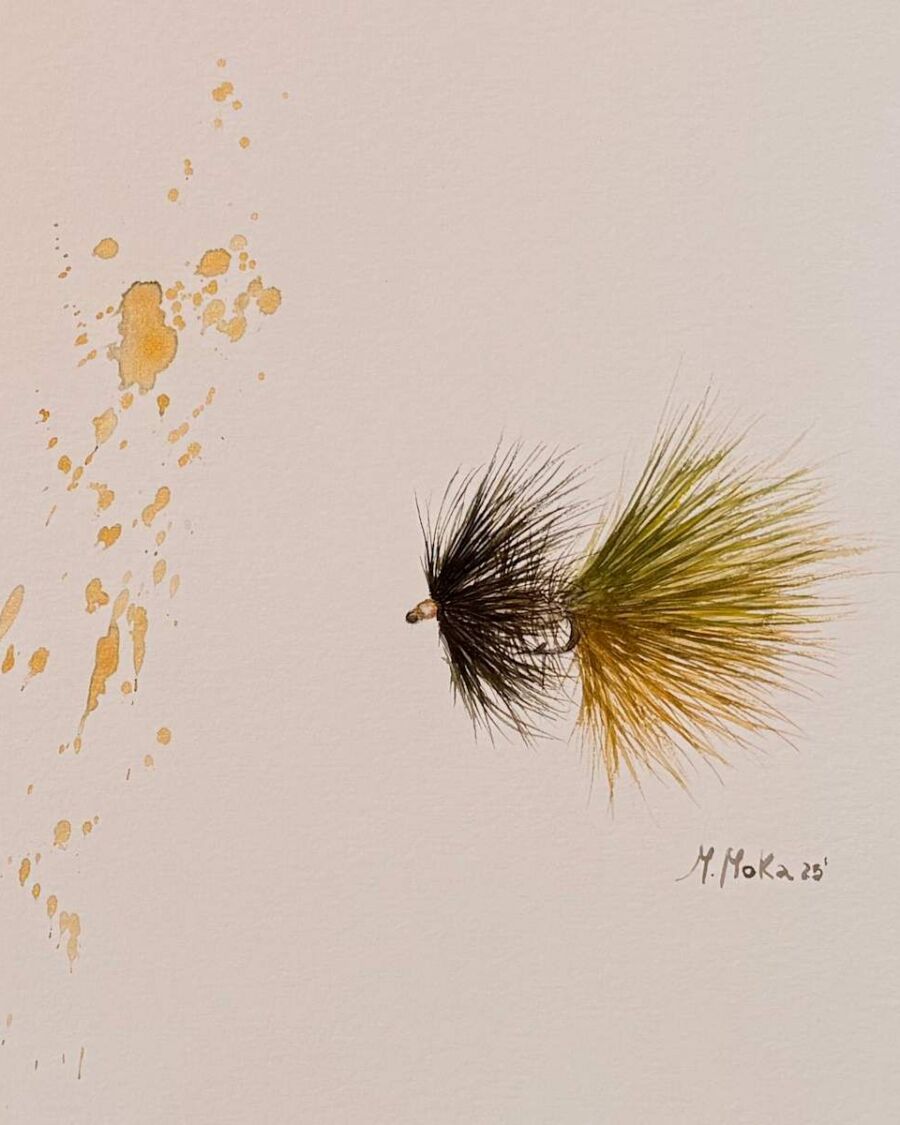 The Tension Before the Rise Fly Watercolor, acuarela de Moni Moka